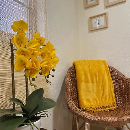 Nyaraló Casas Do Coa - Casa Do Castelo Vila Nova de Foz Coa